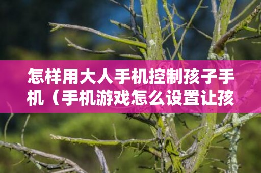 怎样用大人手机控制孩子手机（手机游戏怎么设置让孩子玩不了呢）