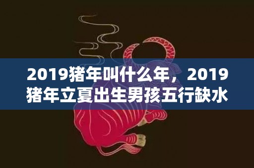 2019猪年叫什么年，2019猪年立夏出生男孩五行缺水要怎么起名