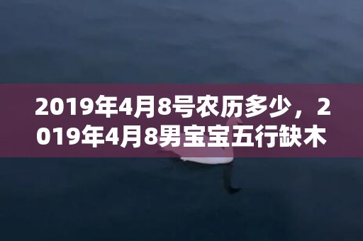 2019年4月8号农历多少，2019年4月8男宝宝五行缺木取什么名字好