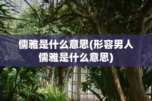 儒雅是什么意思(形容男人儒雅是什么意思)