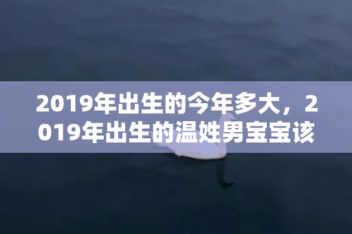 2019年出生的今年多大，2019年出生的温姓男宝宝该如何起名字，宜用什么字。