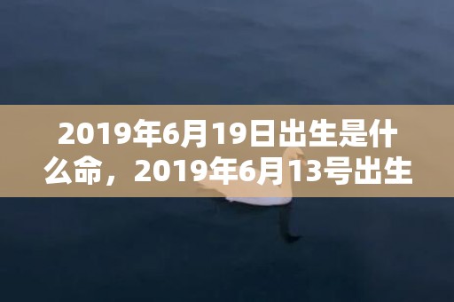 2019年6月19日出生是什么命，2019年6月13号出生的男宝宝五行缺水要如何起名字