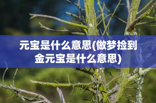 元宝是什么意思(做梦捡到金元宝是什么意思)