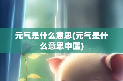元气是什么意思(元气是什么意思中医)