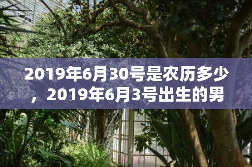 2019年6月30号是农历多少，2019年6月3号出生的男孩起什么名字比较好，五行属什么