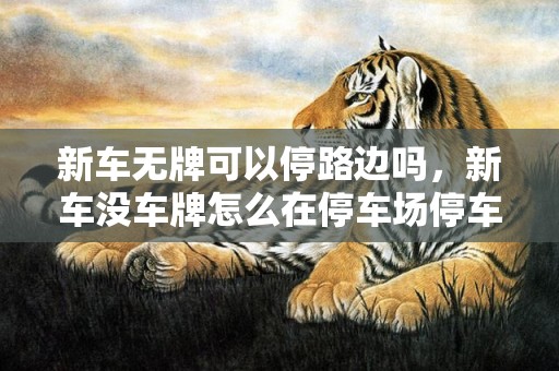 新车无牌可以停路边吗，新车没车牌怎么在停车场停车