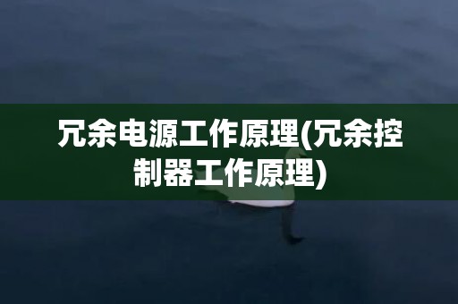 冗余电源工作原理(冗余控制器工作原理)