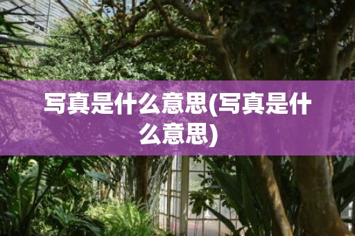 写真是什么意思(写真是什么意思)
