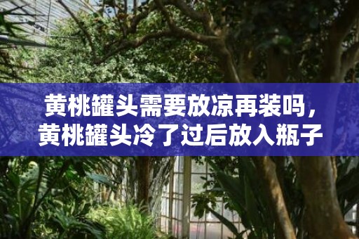 黄桃罐头需要放凉再装吗，黄桃罐头冷了过后放入瓶子里面吗