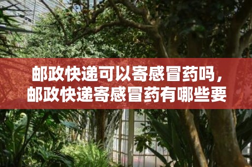 邮政快递可以寄感冒药吗，邮政快递寄感冒药有哪些要求