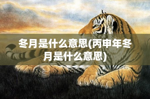 冬月是什么意思(丙申年冬月是什么意思)