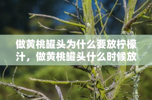 做黄桃罐头为什么要放柠檬汁，做黄桃罐头什么时候放柠檬汁最好