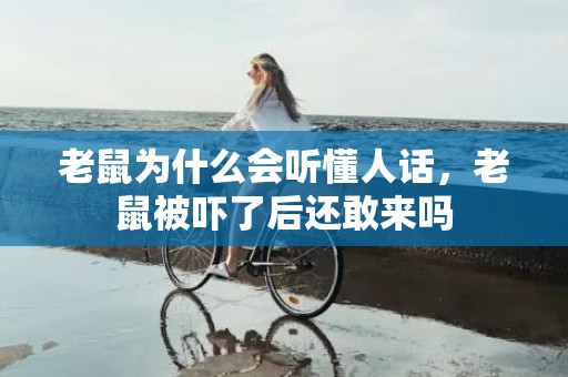 老鼠为什么会听懂人话，老鼠被吓了后还敢来吗