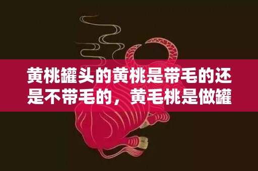 黄桃罐头的黄桃是带毛的还是不带毛的，黄毛桃是做罐头的桃子吗