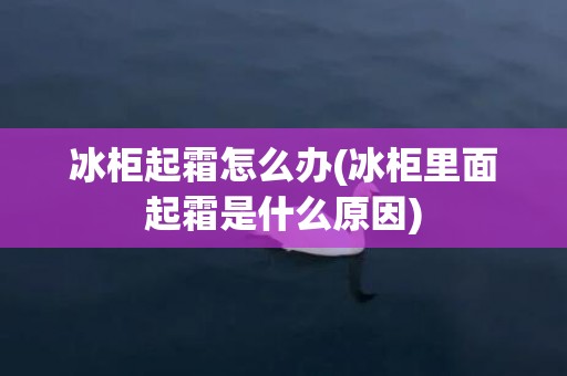 冰柜起霜怎么办(冰柜里面起霜是什么原因)