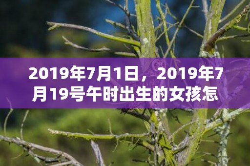 2019年7月1日，2019年7月19号午时出生的女孩怎么起名，五行是什么？