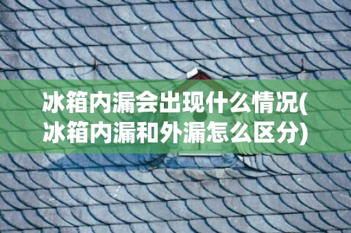 冰箱内漏会出现什么情况(冰箱内漏和外漏怎么区分)
