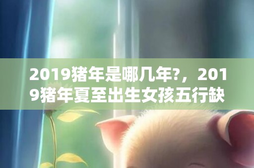 2019猪年是哪几年?，2019猪年夏至出生女孩五行缺金要怎么起名字