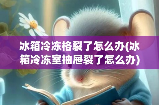 冰箱冷冻格裂了怎么办(冰箱冷冻室抽屉裂了怎么办)