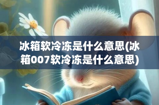 冰箱软冷冻是什么意思(冰箱007软冷冻是什么意思)