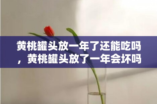 黄桃罐头放一年了还能吃吗，黄桃罐头放了一年会坏吗