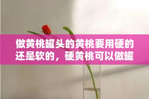 做黄桃罐头的黄桃要用硬的还是软的，硬黄桃可以做罐头吗