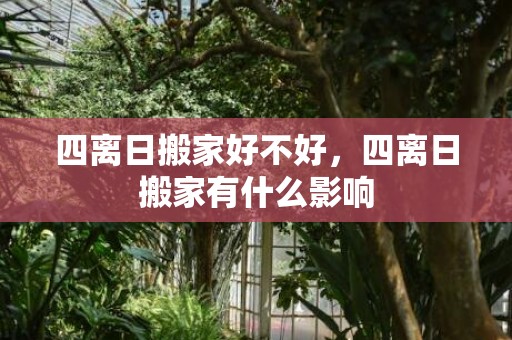 四离日搬家好不好，四离日搬家有什么影响