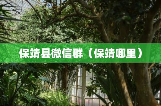 保靖县微信群（保靖哪里）