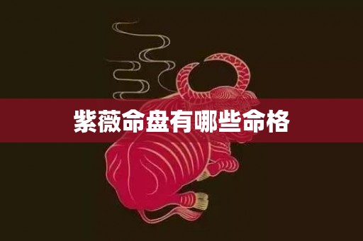 紫薇命盘有哪些命格