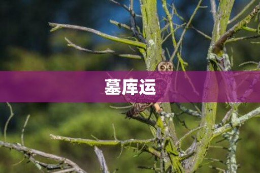 墓库运