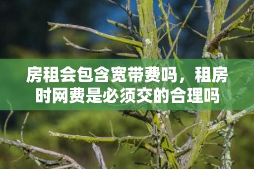房租会包含宽带费吗，租房时网费是必须交的合理吗