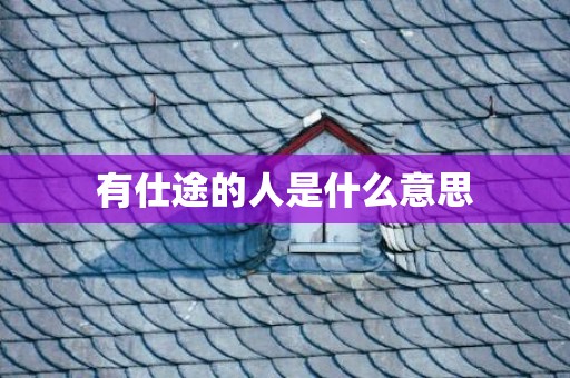 有仕途的人是什么意思