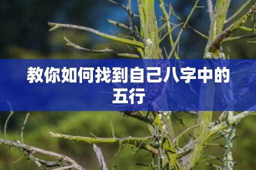 教你如何找到自己八字中的五行