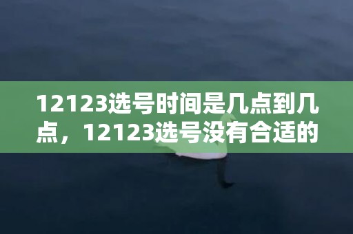 12123选号时间是几点到几点，12123选号没有合适的可以不选吗