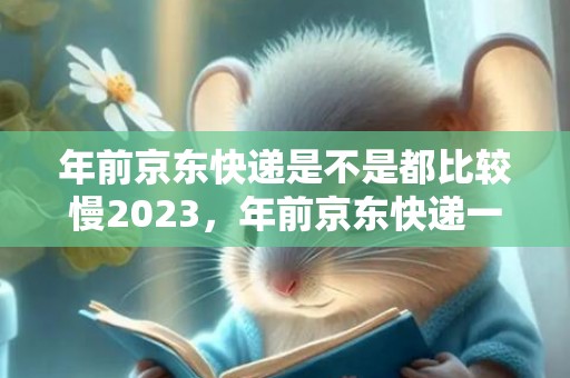年前京东快递是不是都比较慢2023，年前京东快递一般几天到货