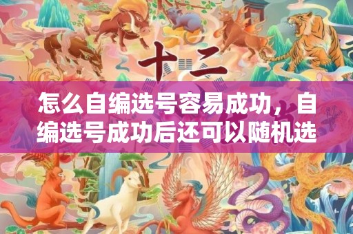 怎么自编选号容易成功，自编选号成功后还可以随机选号吗
