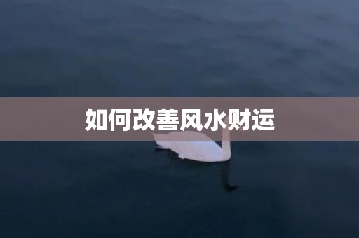 如何改善风水财运