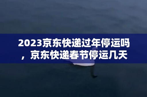 2023京东快递过年停运吗，京东快递春节停运几天