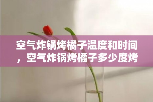 空气炸锅烤橘子温度和时间，空气炸锅烤橘子多少度烤多久能熟