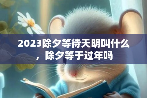 2023除夕等待天明叫什么，除夕等于过年吗