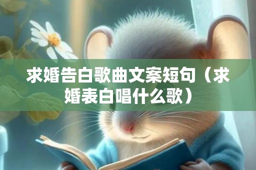求婚告白歌曲文案短句（求婚表白唱什么歌）