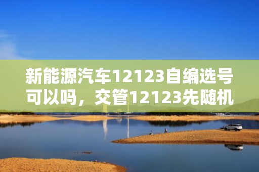 新能源汽车12123自编选号可以吗，交管12123先随机还是先自编
