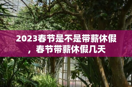 2023春节是不是带薪休假，春节带薪休假几天