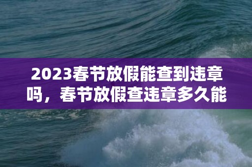 2023春节放假能查到违章吗，春节放假查违章多久能查到
