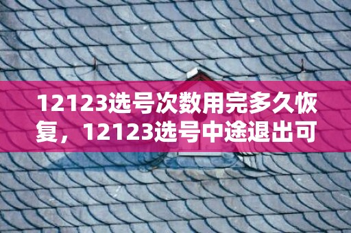 12123选号次数用完多久恢复，12123选号中途退出可以再选吗