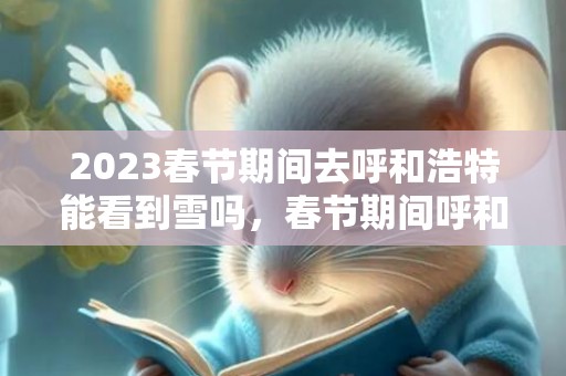 2023春节期间去呼和浩特能看到雪吗，春节期间呼和浩特下雪多不多