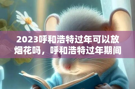 2023呼和浩特过年可以放烟花吗，呼和浩特过年期间哪里能放烟花爆竹