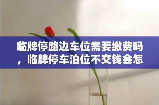 临牌停路边车位需要缴费吗，临牌停车泊位不交钱会怎么样