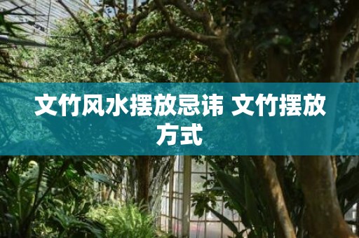 文竹风水摆放忌讳 文竹摆放方式