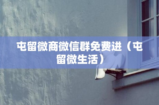屯留微商微信群免费进（屯留微生活）